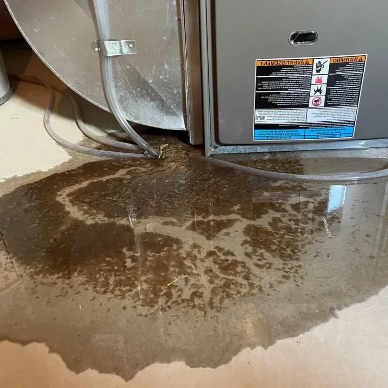 Pipe Burst and Leak Restoration in Fairlawn, OH