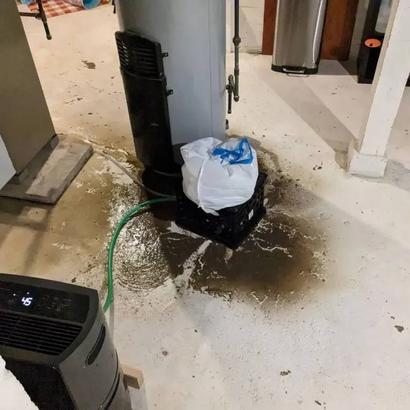 Sewage Backup Cleanup Service in Fairlawn, OH
